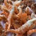 英虾虾米虾仁