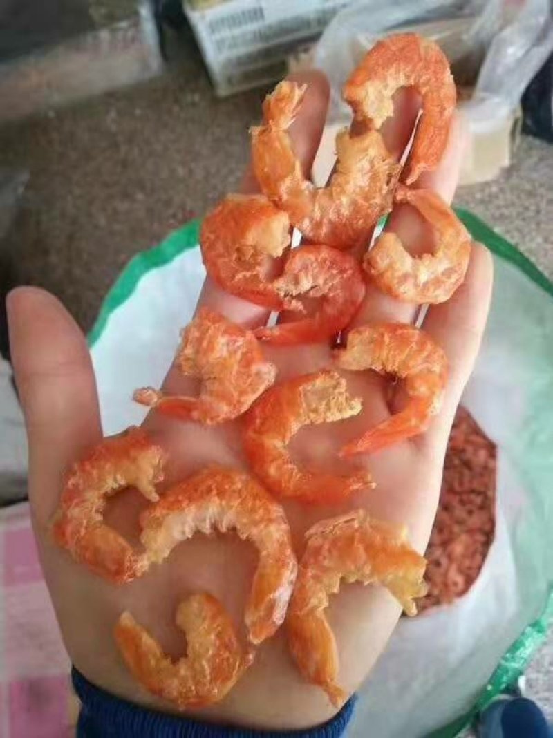 英虾虾米虾仁