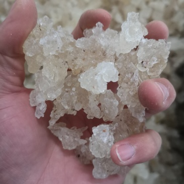 爆米花雪燕