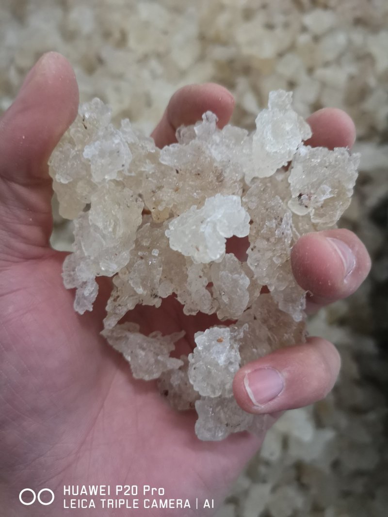 爆米花雪燕