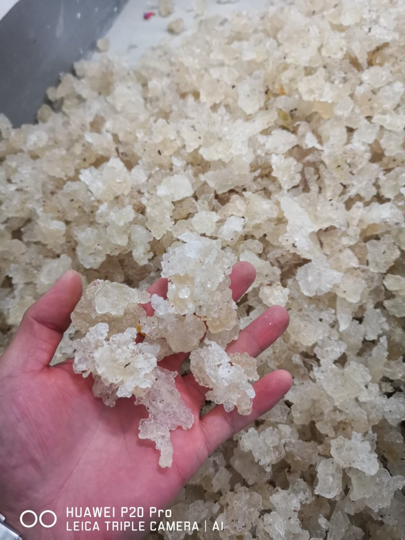 爆米花雪燕