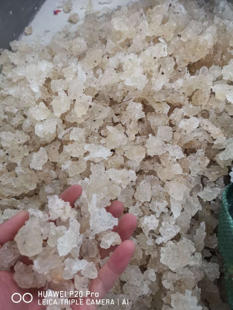 爆米花雪燕