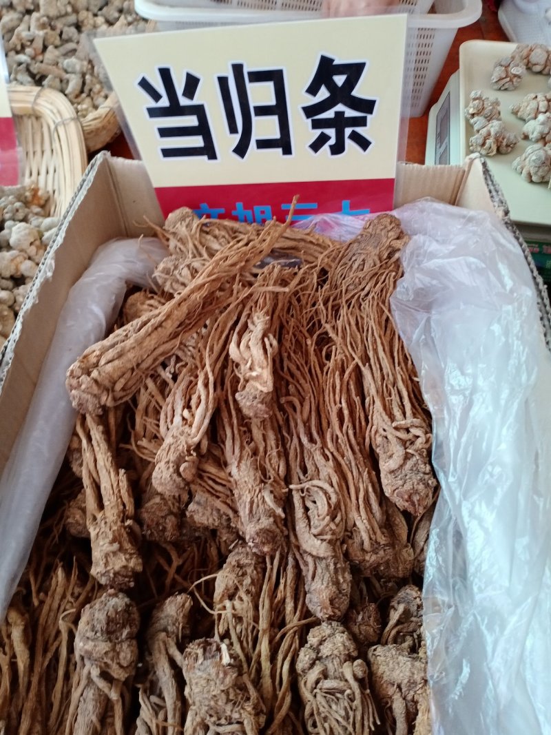云南文山中药材当归批发当归条一手货源包邮