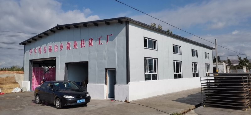新疆伊犁树上干杏