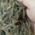 河虾