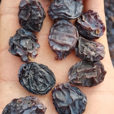 新疆伊犁红玛瑙葡萄干