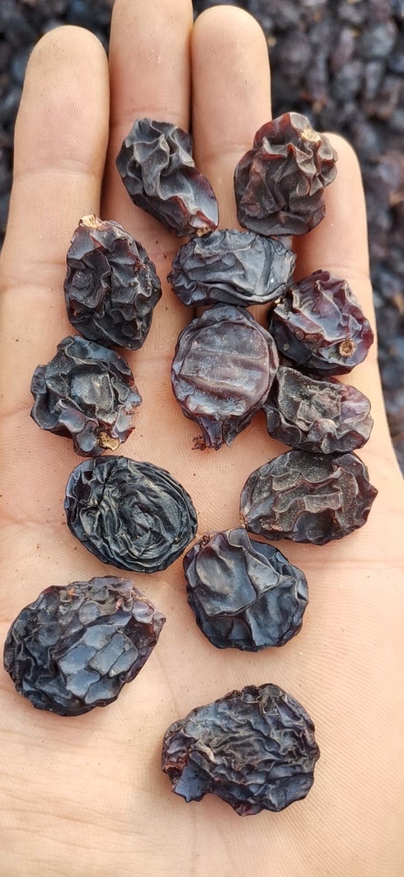 新疆伊犁红玛瑙葡萄干