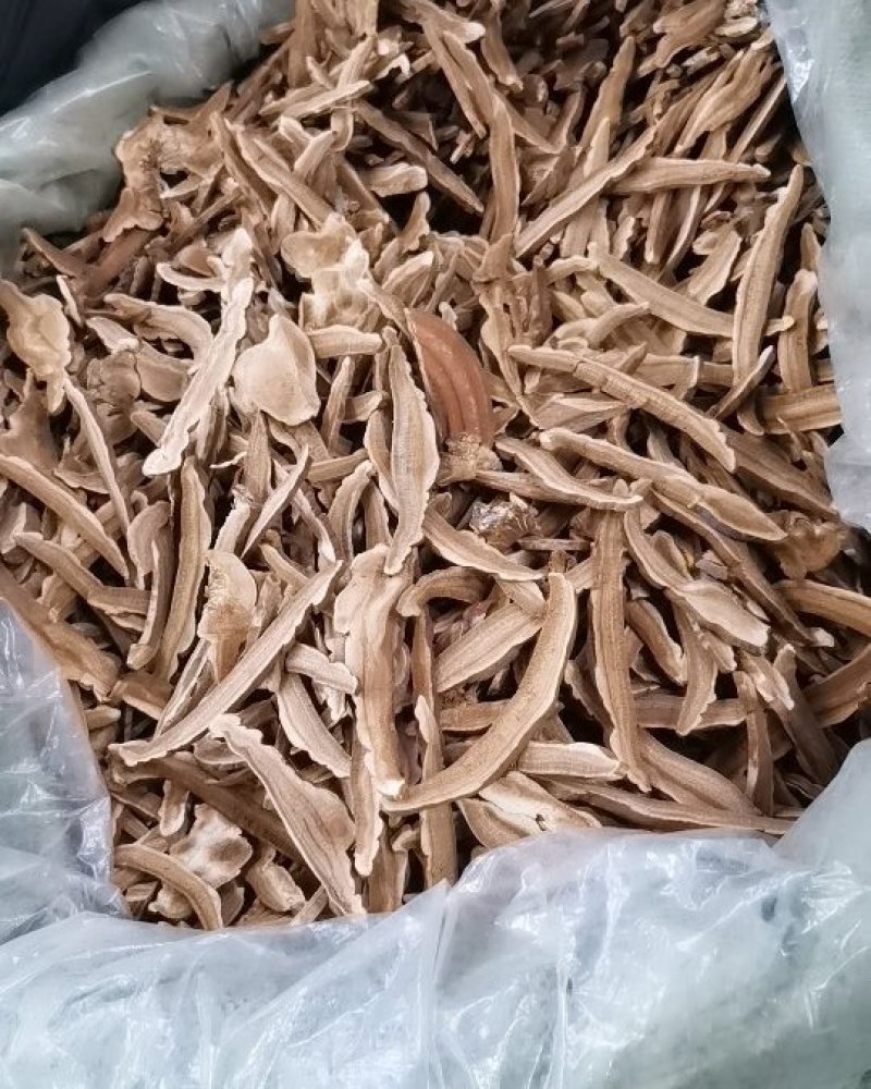 大量供应各种规格的赤灵芝切片，价格低，质量有保障免费打粉