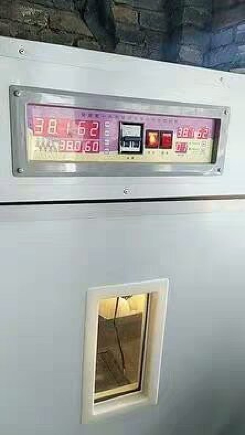 孵化机家用全自动小型鸡鸭鹅蛋孵蛋器880枚中大型致富孵化