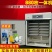 孵化机家用全自动小型鸡鸭鹅蛋孵蛋器880枚中大型致富孵化