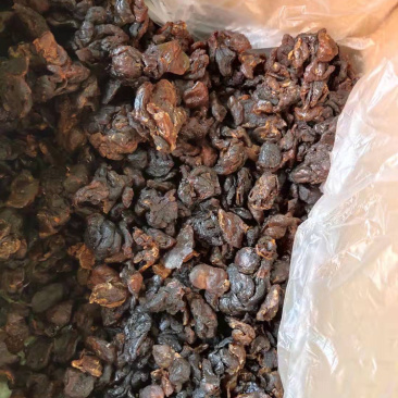 桂圆桂圆肉产地直销量大从优万种中药材批发