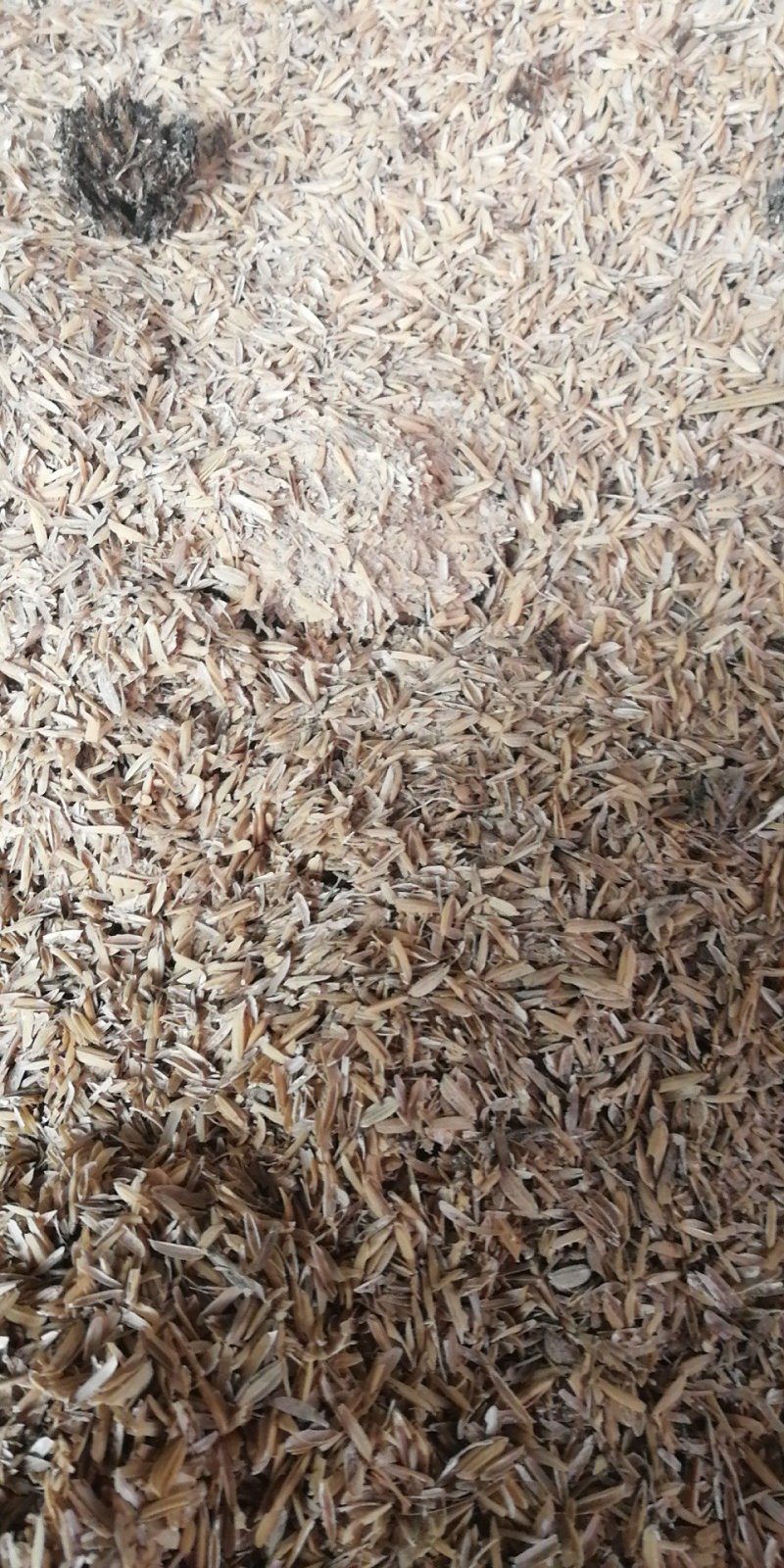 压缩稻壳