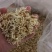 精品白萝卜，全民健康菜，干白萝卜丝，厂家直销全国常年供
