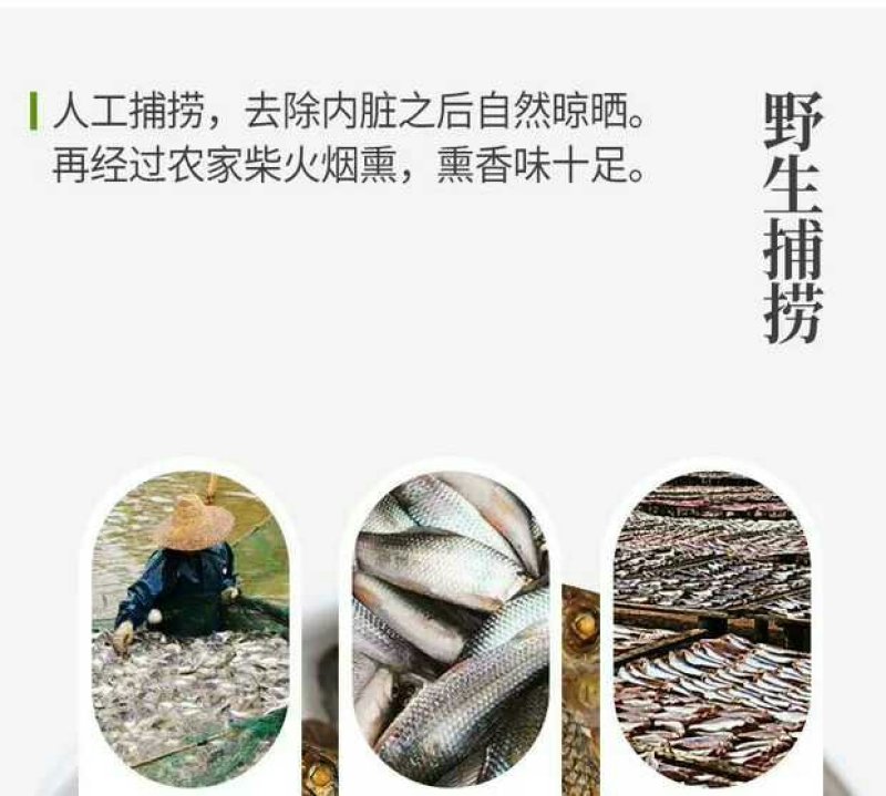 正宗湖南东江湖小鱼干