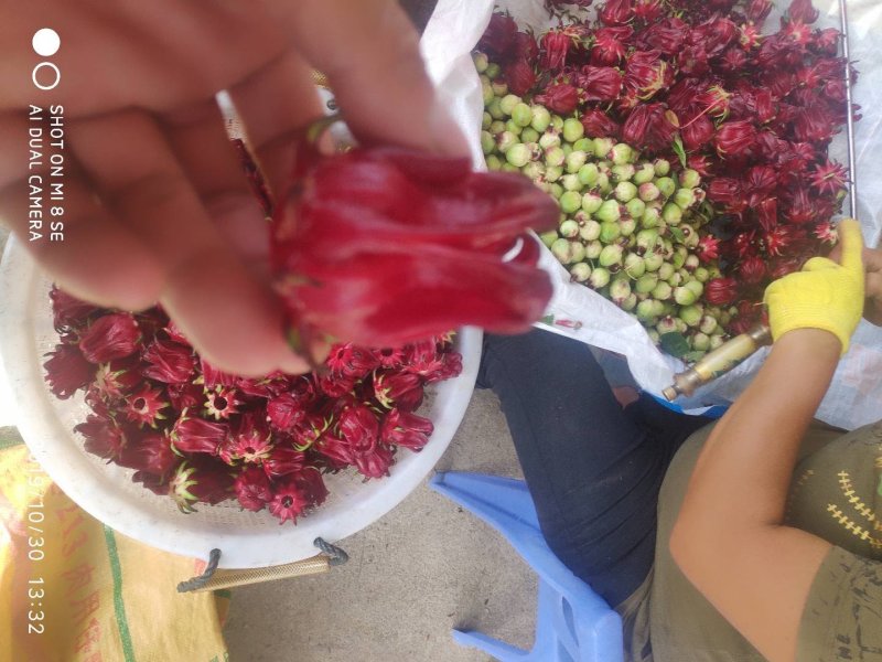 玫瑰茄，天然，无硫，颜色好看