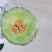 青州甜瓜