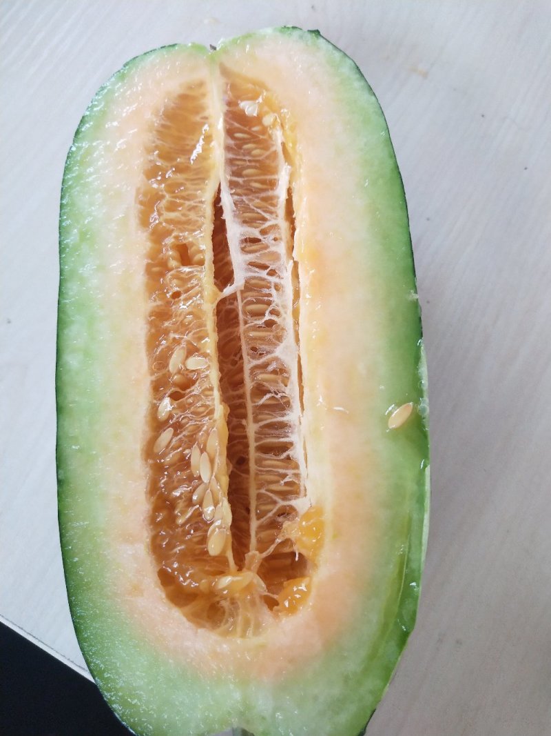 青州甜瓜