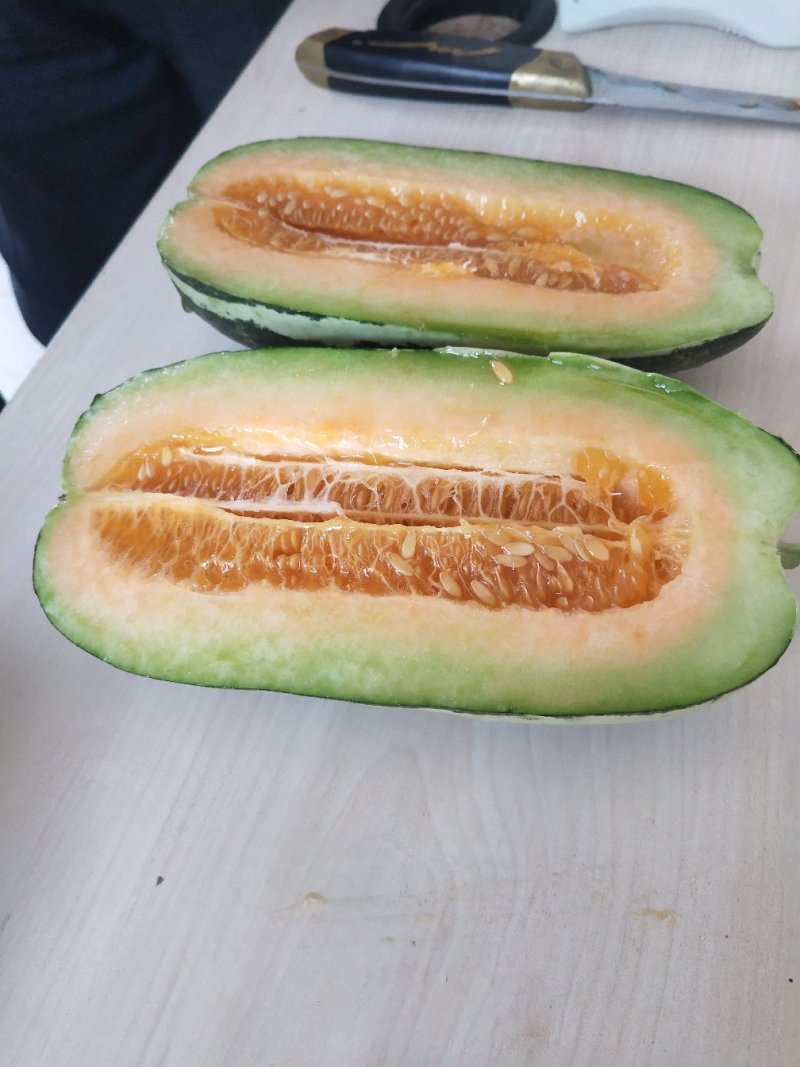 青州甜瓜