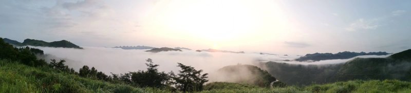 贵州罗甸红心火龙果