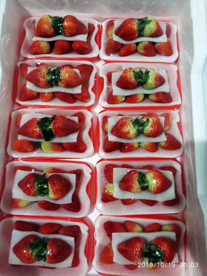 国产精品水果批发新鲜水果巧克力草莓