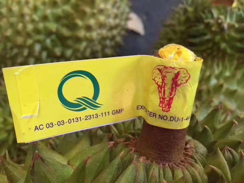 泰国金枕榴莲泰像榴莲广州江南水果批发配送