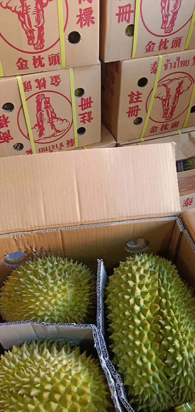 泰国金枕榴莲泰像榴莲广州江南水果批发配送