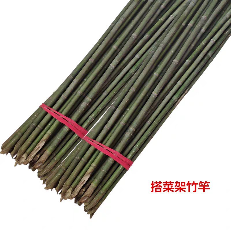 竹杆小竹子细竹竿菜园搭架户外篱笆豆角竹竿旗竹杆跳舞长竹竿