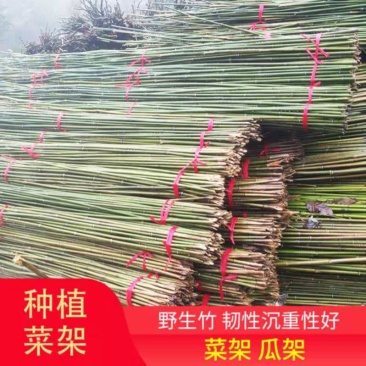 竹杆小竹子细竹竿菜园搭架户外篱笆豆角竹竿旗竹杆跳舞长竹竿