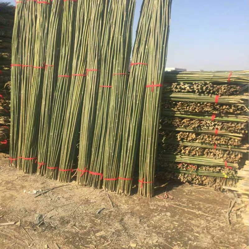 竹杆小竹子细竹竿菜园搭架户外篱笆豆角竹竿旗竹杆跳舞长竹竿