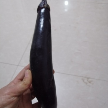 茄子