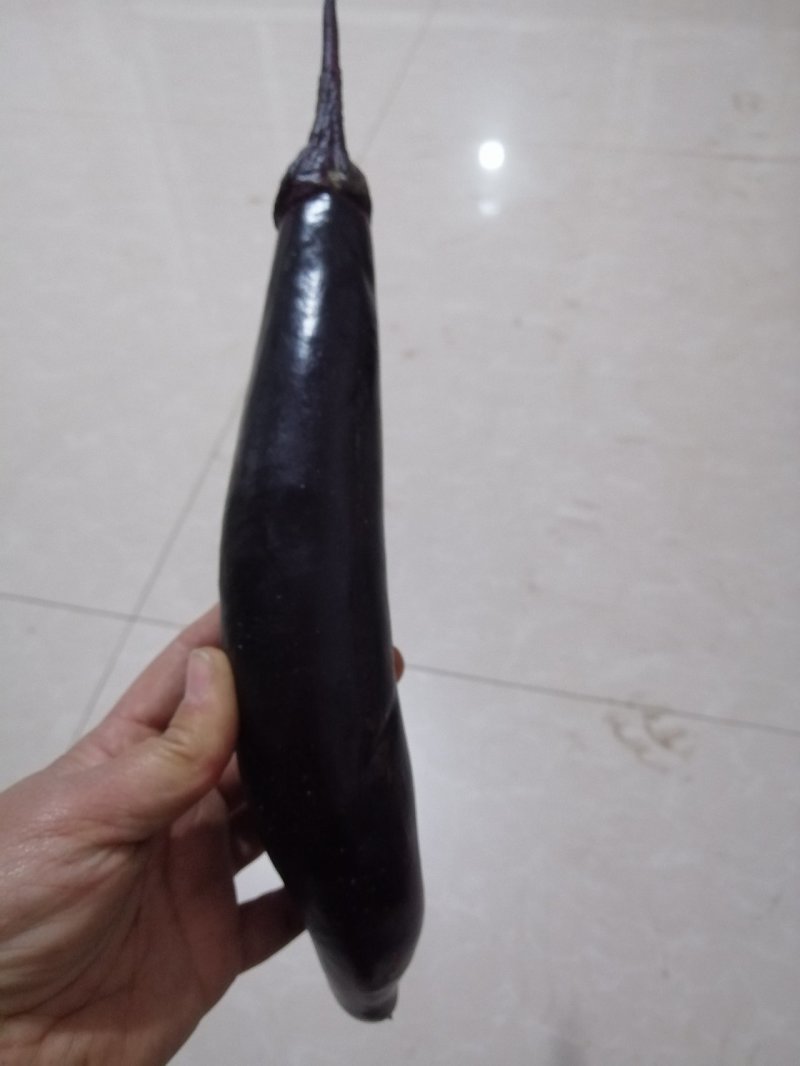 茄子