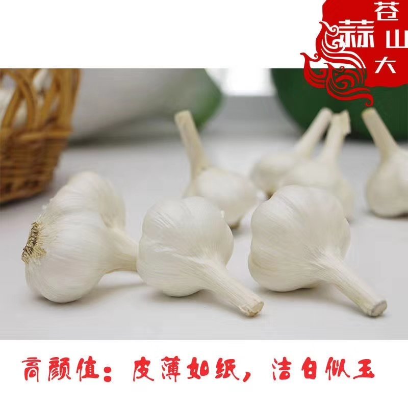 苍山四六瓣大蒜