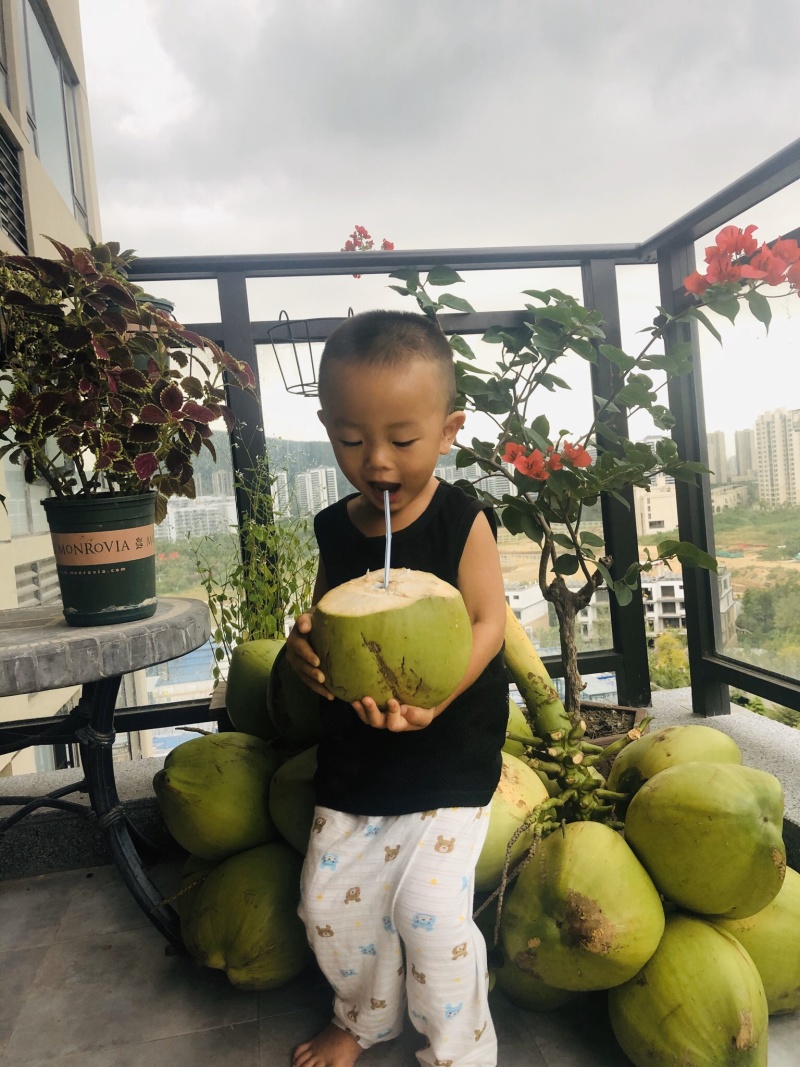 海南文昌椰子椰青孕妇小孩适用一件代发