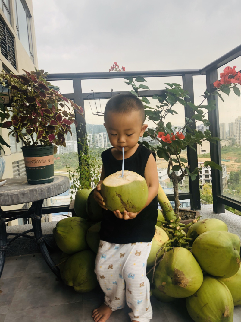 海南文昌椰子椰青孕妇小孩适用一件代发
