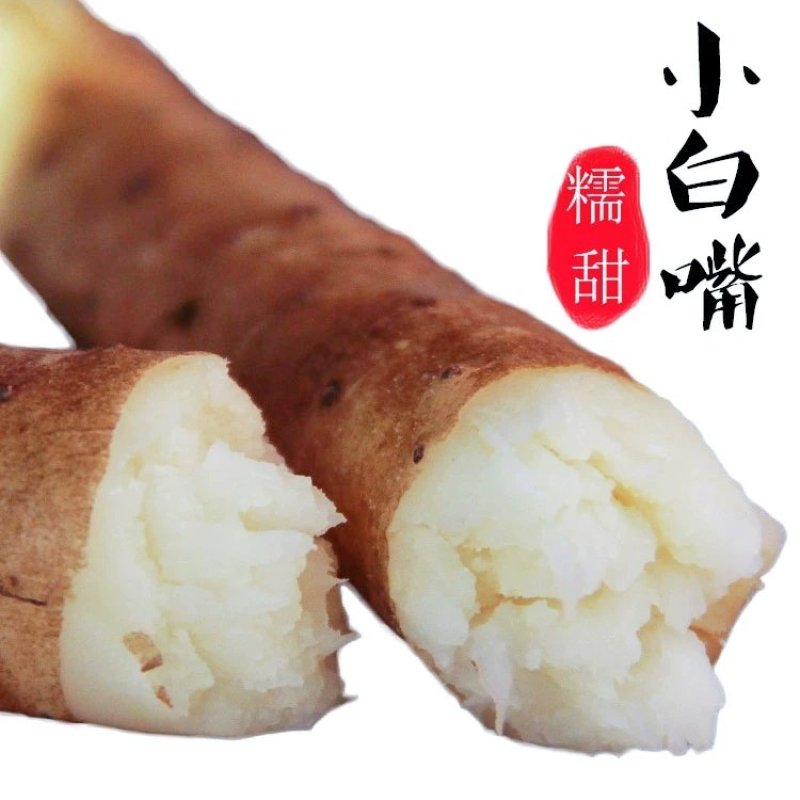 河北铁棍山药产地直发无中间商软糯香甜欢迎咨询