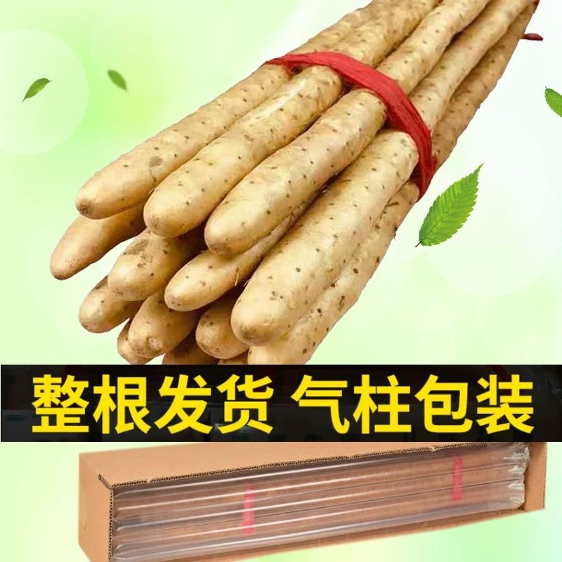 小白嘴山药箱货网袋散货包装按需提供价格实惠欢迎咨询