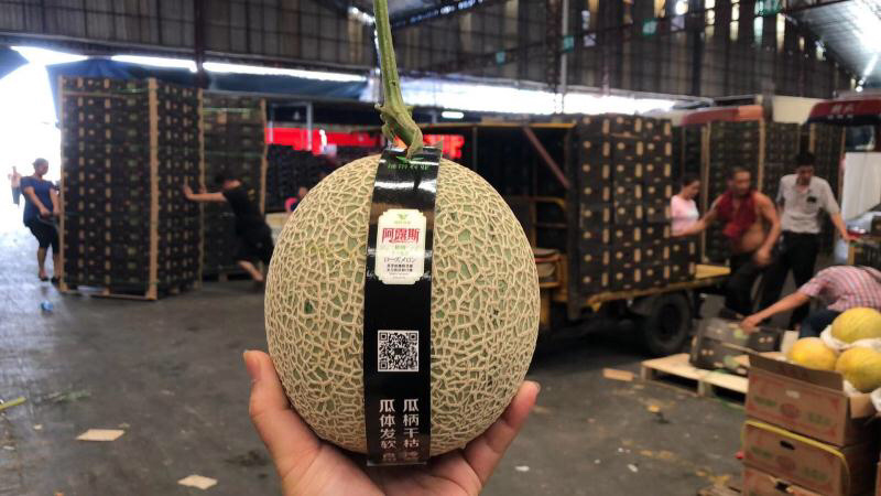国产新鲜水果批发阿鲁斯蜜瓜纯甜美味