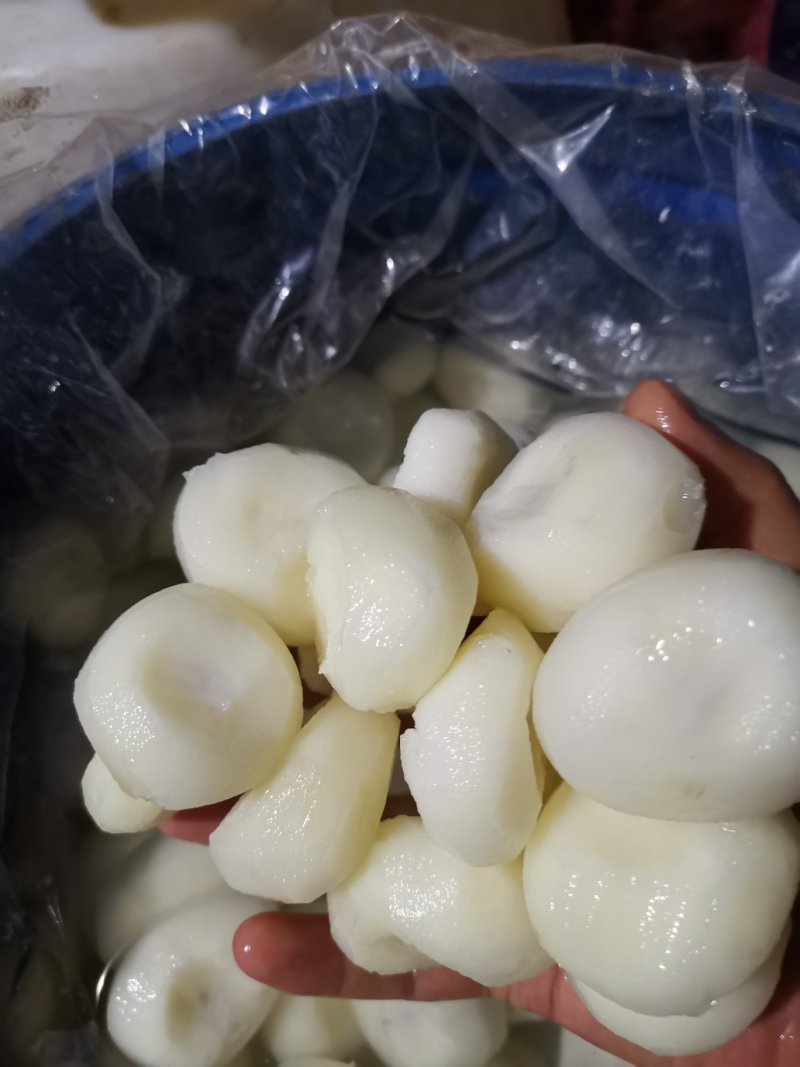 马蹄肉