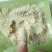 供应稻壳粉稻糠筛糠糠面稻壳粉30-100目各种规格