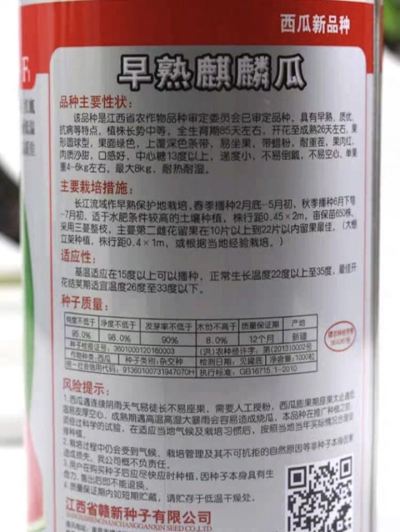 早熟麒麟瓜西瓜种子基地大棚早熟高产抗病耐重茬皮薄四季包邮