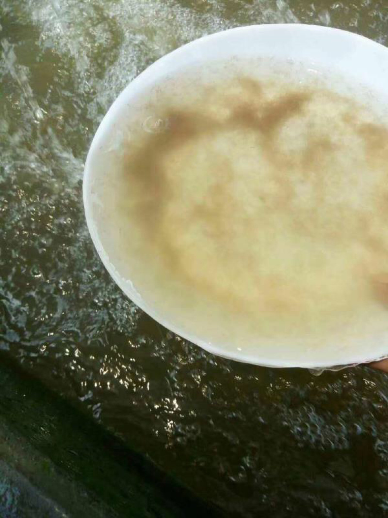 黑皖鱼苗螺丝皖鱼苗青鱼苗+自孵水花
