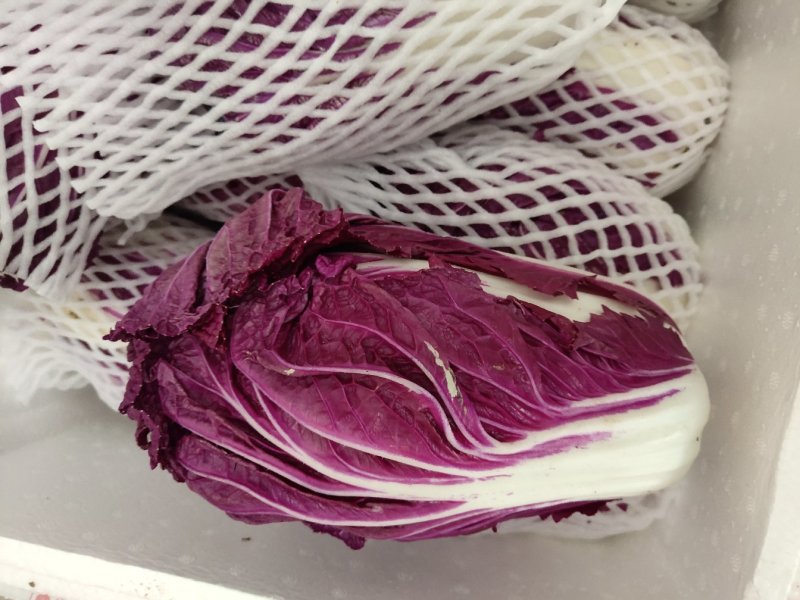 紫色大白菜阿辉特菜基地常年供应