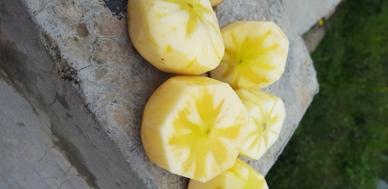 糖心苹果
