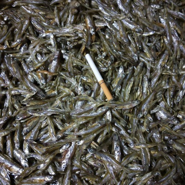 淡水小鱼干/猫鱼/海南省/河鱼/白条/蓝刀/生晒小鱼干