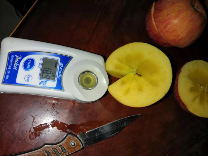 高原冰糖心红富士大量上市中，