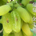 甜蜜蓝宝石葡萄苗挂果期长抗寒耐耐贮运
