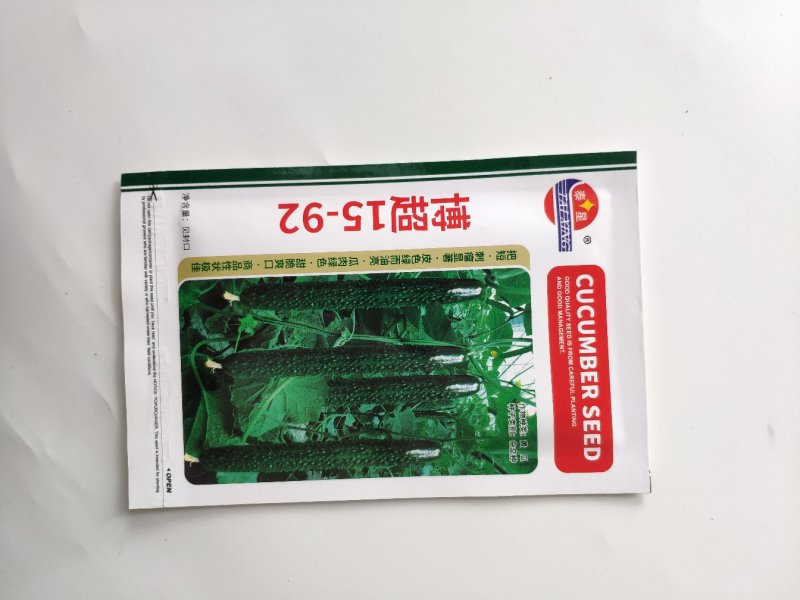 博超15-92黑油亮强雌黄瓜种子耐低温大棚温室种植黄瓜种
