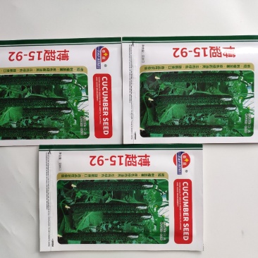 博超15-92黑油亮强雌黄瓜种子耐低温大棚温室种植黄瓜种