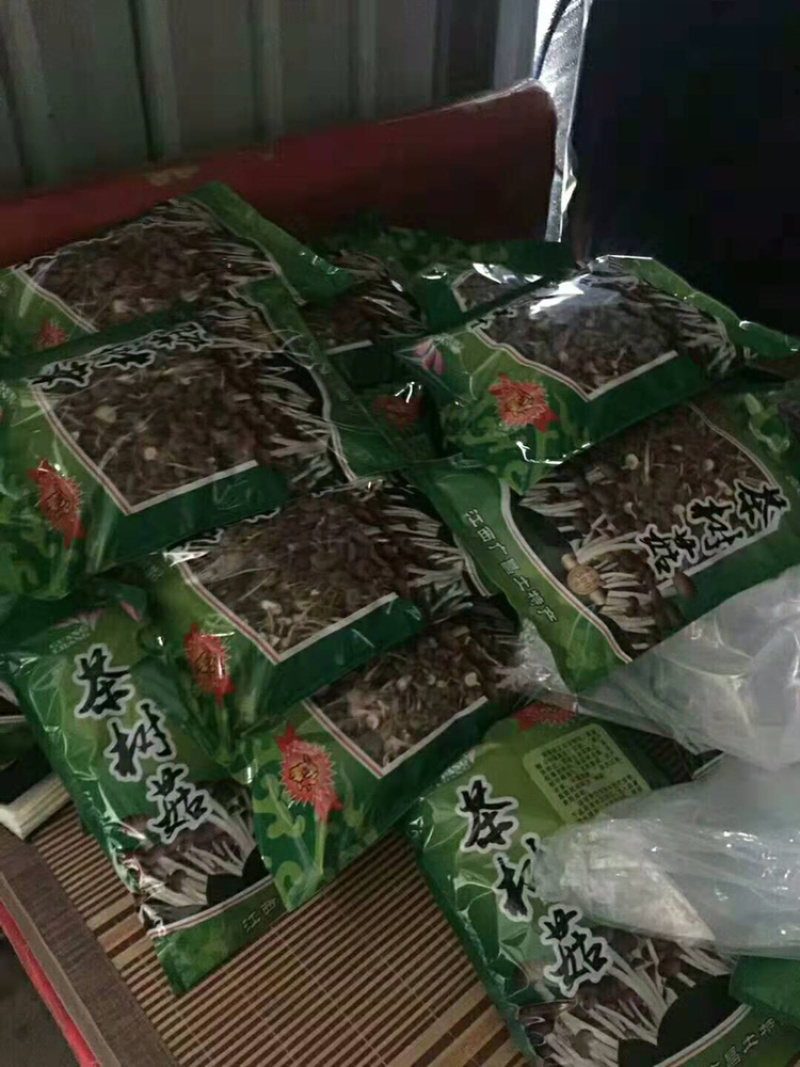 茶树菇