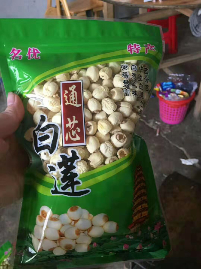 茶树菇